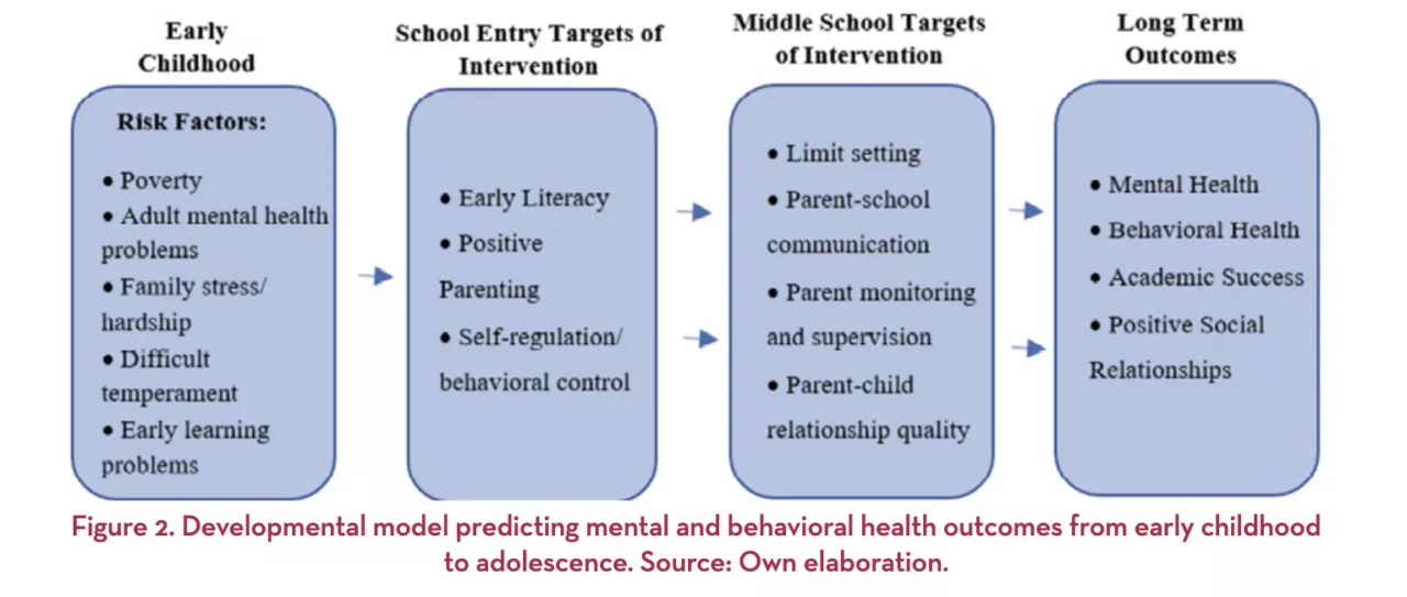 Developmental model